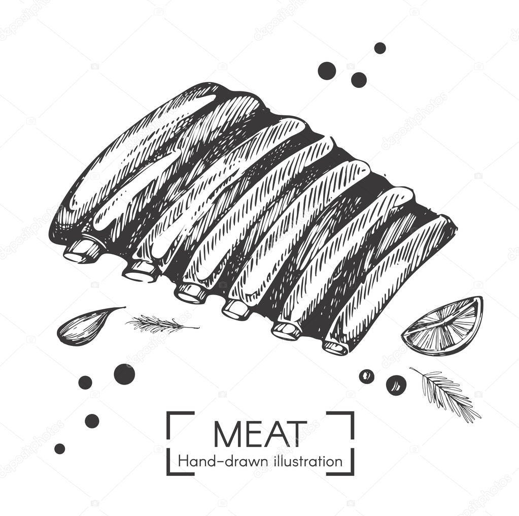 Vector illustration with hand drawn pork ribs on the white background