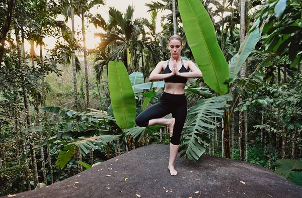 Ung flicka gör yoga i solnedgången i djungeln — Stockfoto