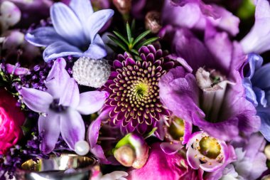 Mavi çiçek kapatın. doğa arka plan veya doğa duvar kağıdı