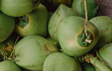 Taze yeşil hindistan cevizleri