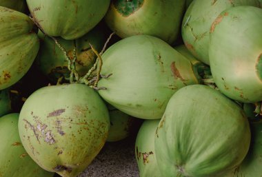 Taze yeşil hindistan cevizleri
