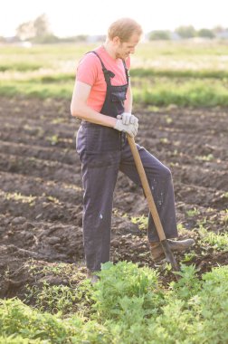 bahçıvan bitkiler sebze. Adam bahçede çiçek dikmek için bir delik yapma.