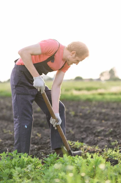 Tuinman planten groenten. Man maakt een gat om bloemen te planten in de tuin. — Stockfoto