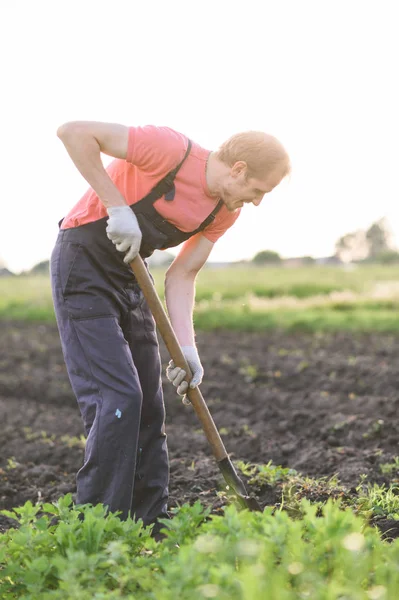 gardener plants vegetables.Man making a hole to plant flowers in the garden.