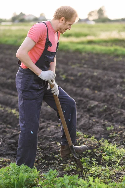 Vegetali giardiniere. L'uomo che fa un buco per piantare fiori in giardino . — Foto Stock