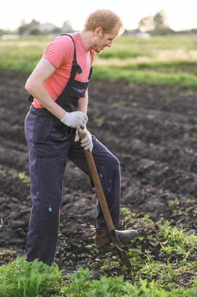 gardener plants vegetables.Man making a hole to plant flowers in the garden.