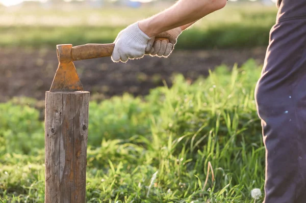 De mens is hakkend hout met vintage bijl. Close-up, zonsondergang — Stockfoto