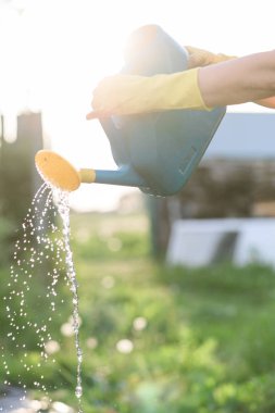 Gün batımı yakın gece bir sebze bahçesi sulama adam çiftçi