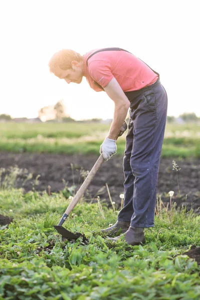 Agricultor do sexo masculino com uma enxada capina no campo no pôr do sol — Fotografia de Stock