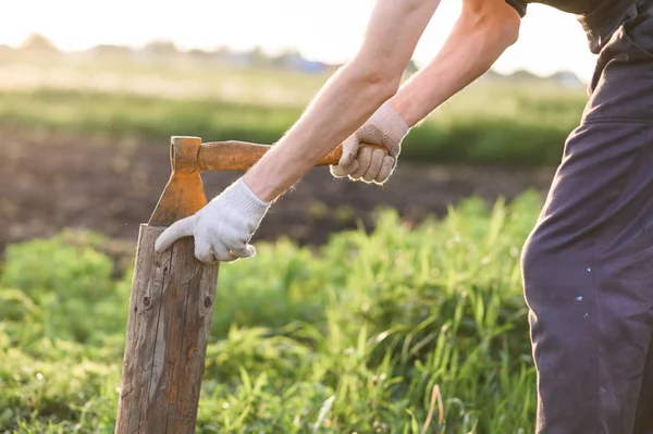 De mens is hakkend hout met vintage bijl. Close-up, zonsondergang — Stockfoto