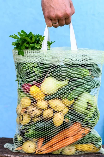 fresh vegetables in eco bag. potatoes, tomatoes, carrot, onion. Bio. farm products