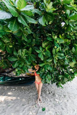 tropik bir ağaca karşı sahilde kız. Tayland