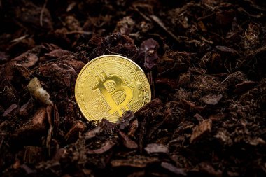 Altın Bitcoin madenciliği. Yatırım ve Faiz Kavramı. Fotoğraf Altın Bitcoins