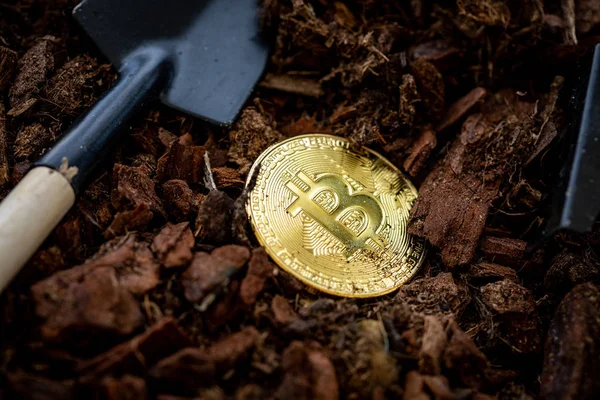 Altın Bitcoin madenciliği. Yatırım ve Faiz Kavramı. Fotoğraf Altın Bitcoins