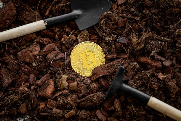 Altın Bitcoin madenciliği. Yatırım ve Faiz Kavramı. Fotoğraf Altın Bitcoins