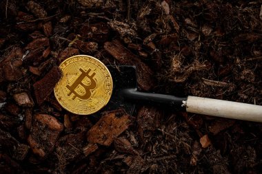 Bitcoin madenciliği. bitcoin toprak serpilir, yanında küçük bir kürek