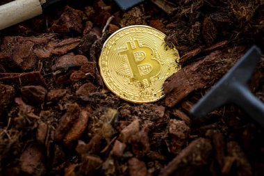 Bitcoin madenciliği. bitcoin toprak serpilir, yanında küçük bir kürek