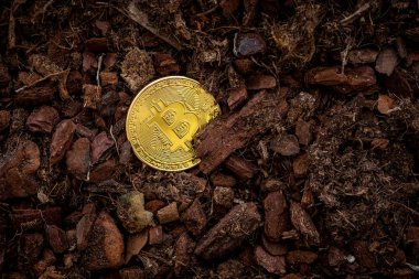 Bitcoin madenciliği. bitcoin toprak serpilir, yanında küçük bir kürek