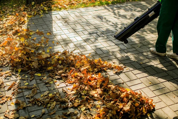 Sonbahar parkta alt yol yardımı ile düşen yapraklar kaldırır