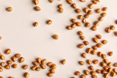Beyaz arka plan üzerinde izole buğday tanelerinin kapatın. Üstten Görünüm