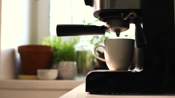 Наливание потока кофе из профессиональной машины в чашку. Бариста делает двойной эспрессо, используя держатель фильтра. Поток свежего молотого кофе. Пить жареный черный кофе по утрам — стоковое видео