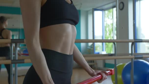 Chica morena en forma joven haciendo ejercicio en el bíceps con la barra de cerca. Crossfit, conceptos deportivos y de salud — Vídeos de Stock