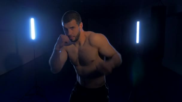 Боксер на темном фоне с синей подсветкой — стоковое видео