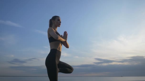 Sylwetka tylny widok kobiety uprawiającej jogę na drzewie pozuje medytując na skale nad morzem z zachodem słońca — Wideo stockowe
