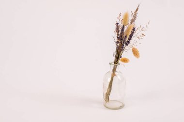 Beyaz arka planda, kurutulmuş lavanta çiçekleri yakın plan vazoda toplanır. izole