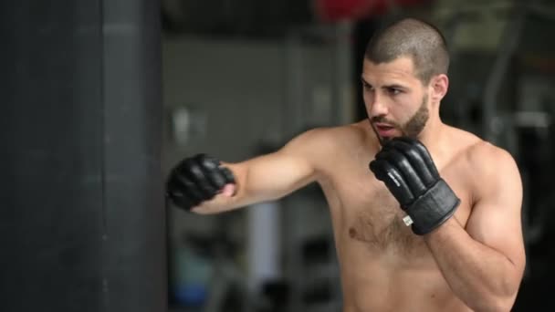 Primer plano Boxeo masculino en saco de boxeo, cámara lenta — Vídeo de stock