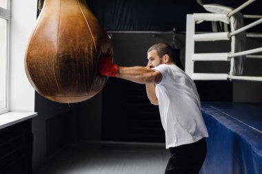 Boksör dövüşmeye hazır. Boks, egzersiz, kas, güç, güç