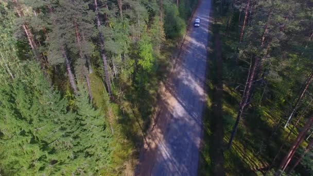 Ambulância carro passeios ao longo da estrada da floresta — Vídeo de Stock