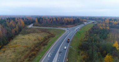 sonbahar orman ülkede yol.