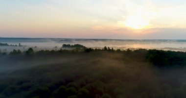 Siste gün doğumunda yeşil çayır ve ağaçların üzerinde uçmak. Havadan görünüm.