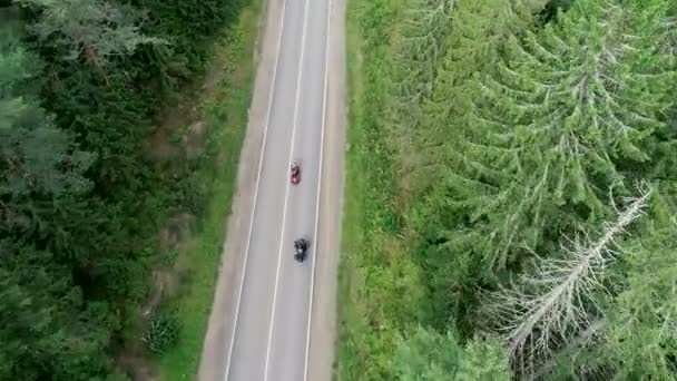 Orman yolda iki motosiklet — Stok video