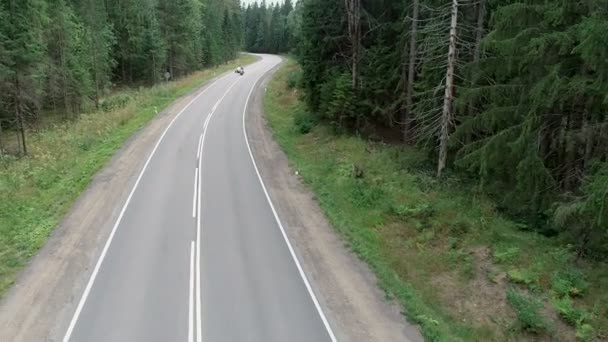 Мотоциклы на лесной дороге — стоковое видео