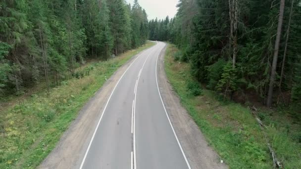 森林路上的摩托车 — 图库视频影像