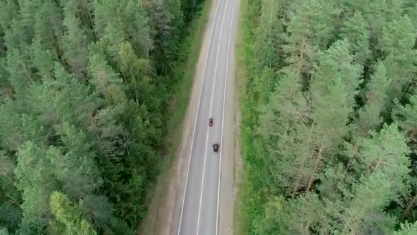 Twee motorfietsen op de bosweg — Stockvideo