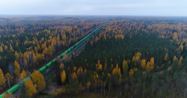 Letecký pohled na venkovské silnici v podzimním lese — Stock video