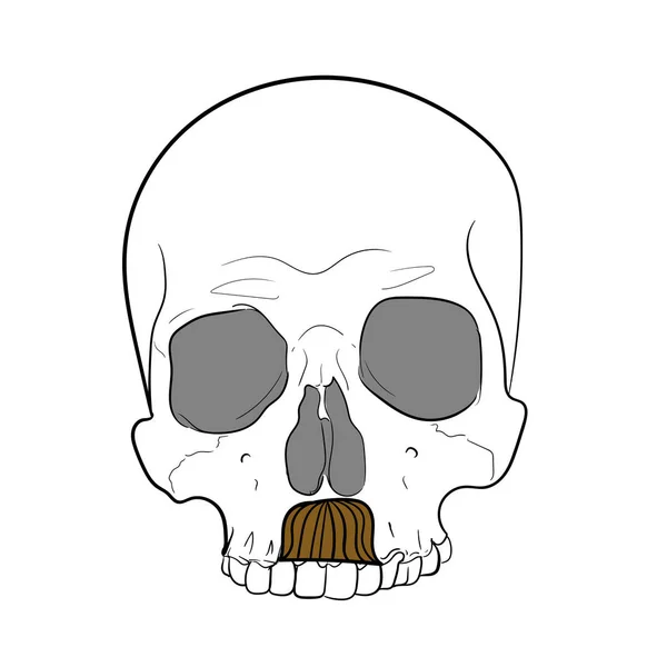 Hipster czaszka z wąsami. Białe tło. rysunek ręka wektor — Wektor stockowy
