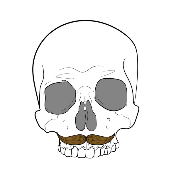 Crâne de hipster avec moustache.Fond blanc. dessin à la main vecteur — Image vectorielle