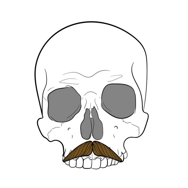 Crâne de hipster avec moustache.Fond blanc. dessin à la main vecteur — Image vectorielle