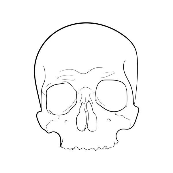 Vettore del cranio Illustrazione in bianco e nero — Vettoriale Stock