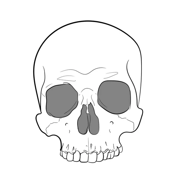 Вектор ілюстрації черепа чорно-біле — стоковий вектор