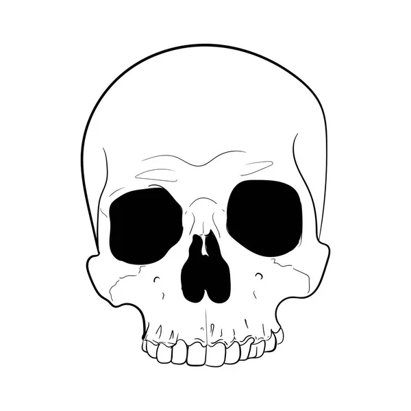 頭蓋骨イラスト黒と白のベクトル — ストックベクタ