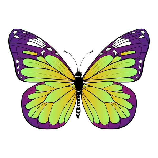 Bunte Schmetterling auf weißem Hintergrund Vektor-Kunst — Stockvektor