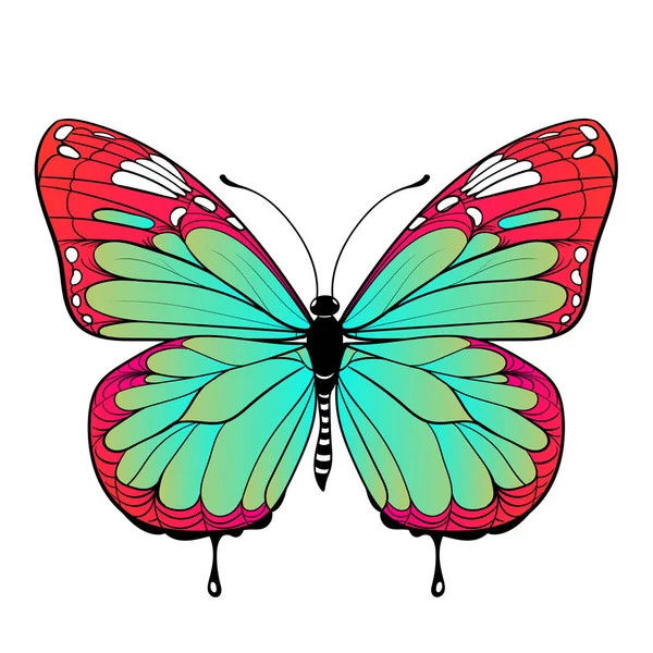 Mariposa colorida sobre fondo blanco arte vectorial — Vector de stock