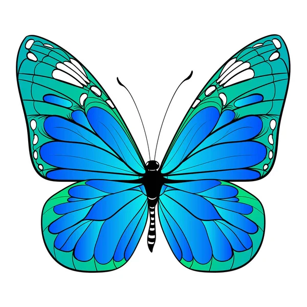 Mariposa colorida sobre fondo blanco arte vectorial — Vector de stock