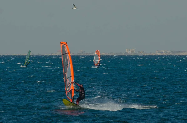 Anapa Rusia Junio 2020 Deportes Acuáticos Recreativos Windsurf Windsurfer Surfeando — Foto de Stock