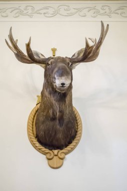 At lı bir arabacı, 4 Temmuz arifesinde Nesvezha'daki bir şatonun parkında çocukları sürüklüyor.